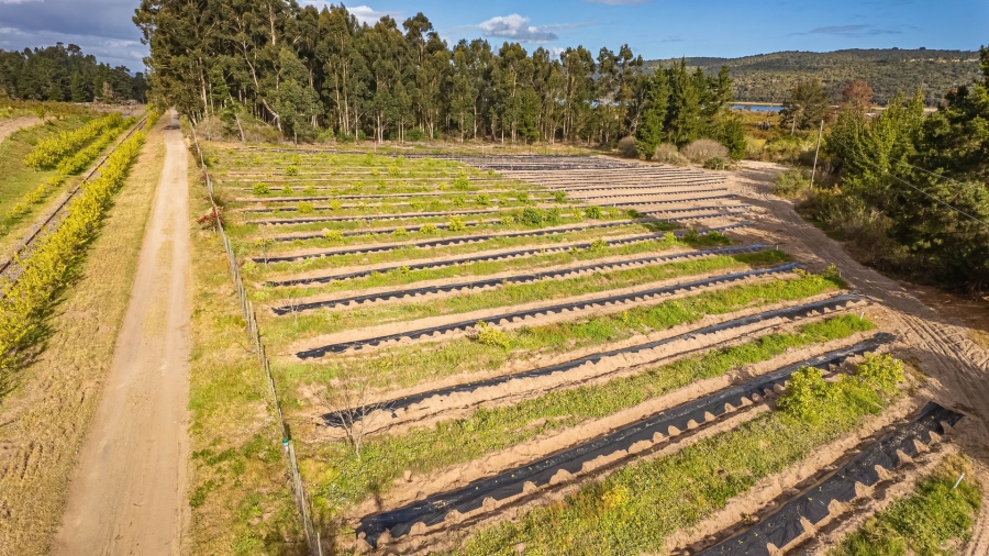 Commercial Property for Sale in Rondevlei Western Cape